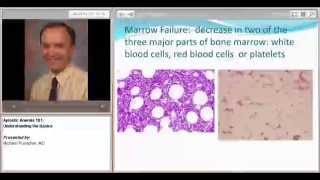 Aplastic Anemia 101 Understanding the Basics [upl. by Yllod]