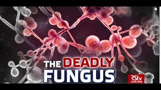 In Depth The Deadly Fungus  Candida Auris [upl. by Cleopatra893]