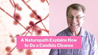 Candida Cleanse How To Complete A Successful Candida Cleanse  Ask Eric Bakker [upl. by Hymie]