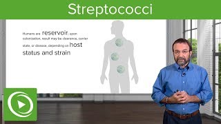 Streptococci – Microbiology  Lecturio [upl. by Knapp]