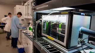 Lab Simulates Outdoor Algae Growth [upl. by Mooney493]