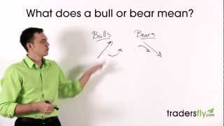 What Does a Bull and Bear Mean in the Stock Market [upl. by Atoiganap714]