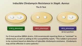 Antibiotic Resistance Antibiotics  Lecture 9 [upl. by Vita]