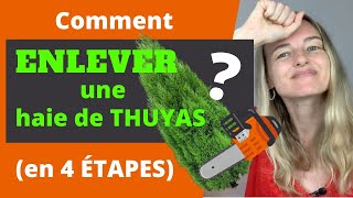 Comment ENLEVER une haie de THUYAS  en 4 ÉTAPES [upl. by Romelle]