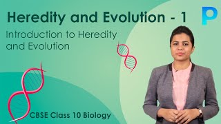 Introduction to Heredity and Evolution [upl. by Acirfa]