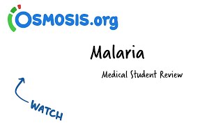 Malaria  Osmosis Study Video [upl. by Dorkas]