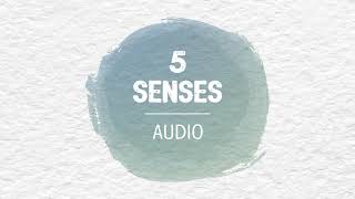 Audio Meditation  Five Senses  AboutKidsHealth at The Hospital for Sick Children [upl. by Attehcram733]