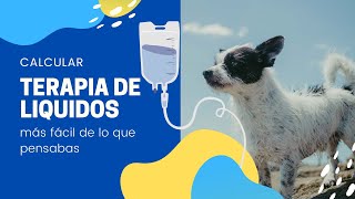 ¡¡¡CALCULA TERAPIA DE LIQUIDOS EN PERROS Y GATOS FACIL [upl. by Theall]