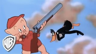 Looney Tunes  Daffy Duck Hunt [upl. by Markowitz]