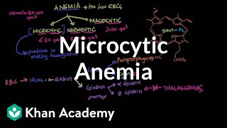 Microcytic anemia  Hematologic System Diseases  NCLEXRN  Khan Academy [upl. by Yeleak]