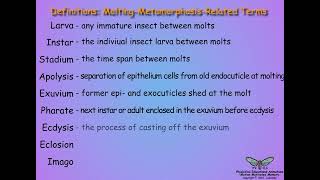 051MetamorphosisIntroduction [upl. by Ecilef528]