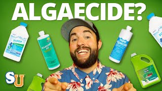 The TRUTH About Using ALGAECIDE In Your POOL [upl. by Lenad]