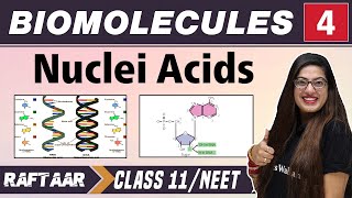 Biomolecules 04  Nuclei Acids  Class 11NEET  RAFTAAR [upl. by Nnylkoorb]