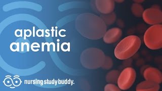 Aplastic Anemia  Nursing Study Buddy Video Library [upl. by Pacian]