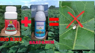 BIO R303 DAMAN  SARPANCHprofenofos 40 cypermethrin 4  Insecticide With Proof [upl. by Maya]