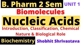 Nucleic AcidsIntroductionClassificationChemistryBiological RoleBiomoleBiochemB Pharm 2 Sem [upl. by Mureil]