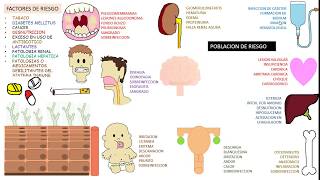 Candida albicans Candidiasis [upl. by Annoiek365]