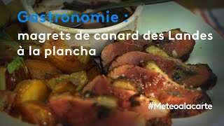 Gastronomie  magrets de canard des Landes à la plancha [upl. by Lleret]