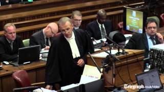 Oscar Pistorius appears to change defense under cross examination [upl. by Chelsea]