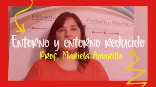 Explicación de ENTORNO Y ENTORNO REDUCIDO  Prof Mariela Amarilla [upl. by Artkele]