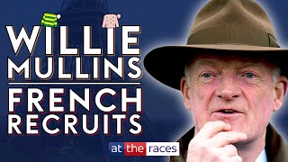 Willie Mullins  French Recruits 2425 [upl. by Ecirum426]