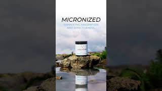 Micronized Creatine Monohydrate [upl. by Aluk]