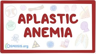 Aplastic anemia  an Osmosis Preview [upl. by Navets]