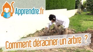 Comment déraciner un arbre [upl. by Mehcanem]