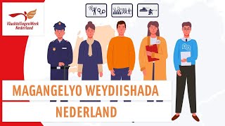 Asielprocedure in Nederland Somalisch  VluchtelingenWerk Nederland [upl. by Rellim]