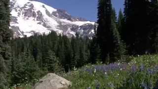 Journey Around the Mountain Exploring Mount Rainier National Park [upl. by Crin375]