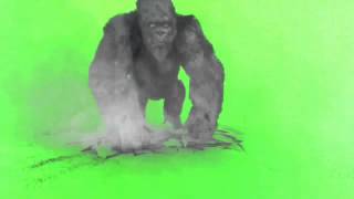 Green Screen 40 essential effects [upl. by Dew449]