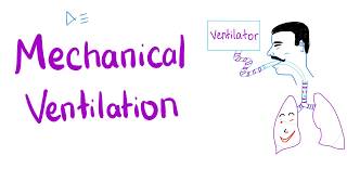 Mechanical Ventilation  Most COMPREHENSIVE Explanation 🤫 [upl. by Annoyik461]