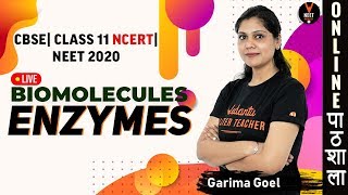 Enzymes  Biomolecules  Class 11 Biology Chapter 9  NEET 2020  NEET Biology  by Garima Goel [upl. by Shermy333]