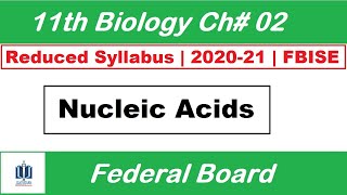 Nucleic Acids Class 11 Biology Chapter 2 Biological Molecules Ilmi Stars Academy [upl. by Sharma]