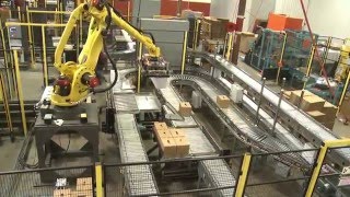 Robots Palletize 4 Production Lines in MultiLine Robotic Palletizing System  Currie by Brenton® [upl. by Sirromal]