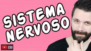 SISTEMA NERVOSO  FISIOLOGIA  Aula  Biologia com Samuel Cunha [upl. by Nallek]