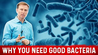 Friendly Bacteria Why You Really Need And how it Helps – Dr Berg [upl. by Braden903]