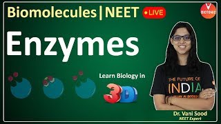 Biomolecules  Enzymes  CBSE Class 11 Biology Chapter 9  NEET 202324  Vani Maam [upl. by Enois]