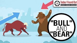 Why are Bull and Bear Markets Called That [upl. by Reis454]