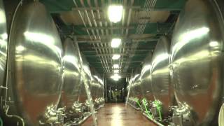 A look inside the Budweiser plant [upl. by Dody]