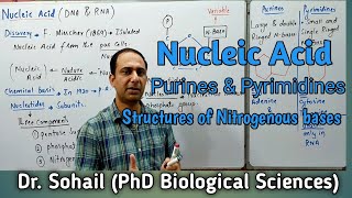 Nucleic Acid  Purine amp Pyrimidines  Nucleotide amp Nucleoside  Differences between DNA amp RNA [upl. by Yorick]