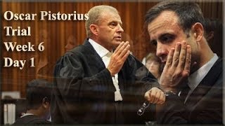 Oscar Pistorius Trial Monday 14 April 2014 Session 1 [upl. by Diarmid]