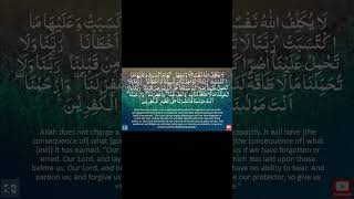 Quran surah AlBaqarah 5459 with translation  sheikh Muhammad AlLuhaidan [upl. by Yerfoeg]