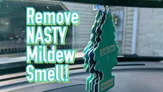 Removing NASTY mildew smell from your cars interior Steps products and tips [upl. by Ecirtac]