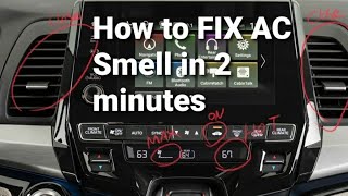 How to FIX AC Smell in 2 Minutes Remove Car Air Conditioner AC Musty Mildew Odor [upl. by Yzzik361]