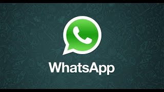 WhatsApp Messenger  Android App on Google Play Store [upl. by Yrakaz725]