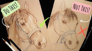 Sketching Animals How To Draw a Realistic Horse [upl. by Ahsykal]