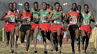 The Greatest Cross Country Race of All Time [upl. by Poppas407]