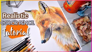 HOW TO DRAW REALISTIC ANIMALS WITH COLORED PENCILS  My tips and tricks to draw realistic animals [upl. by Akinoj]