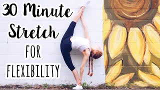 30 Minute Full Body Stretch for Flexibility [upl. by Anidnamra]